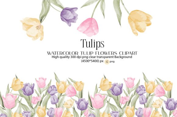 Watercolor Tulip Clipart: Creative Design Solutions for Every Project